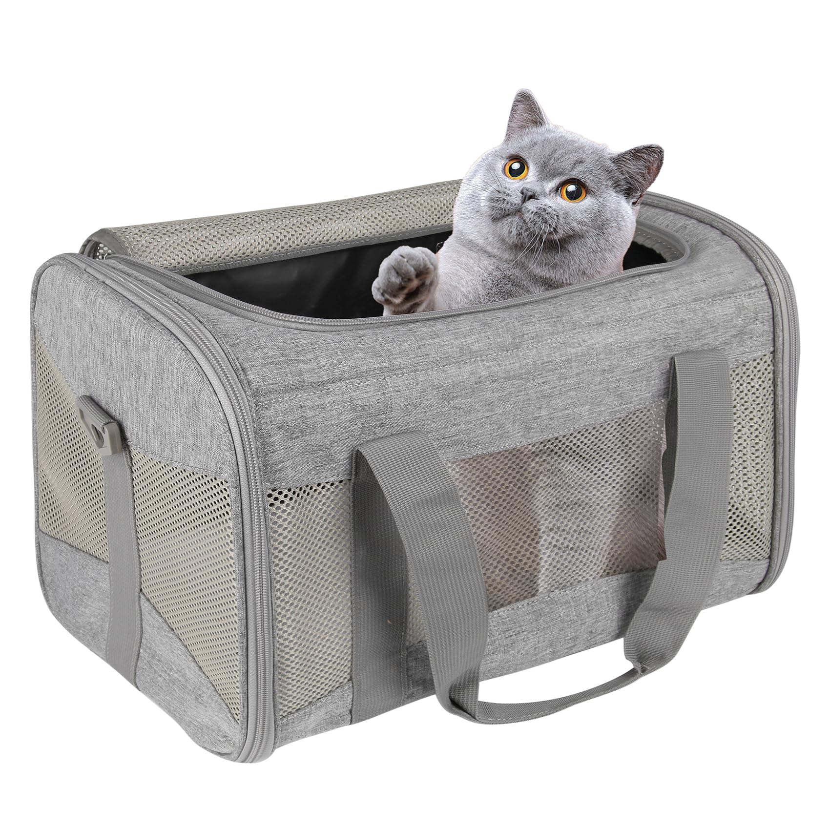 Airline-Approved Breathable Pet Carrier with Fleece Pad