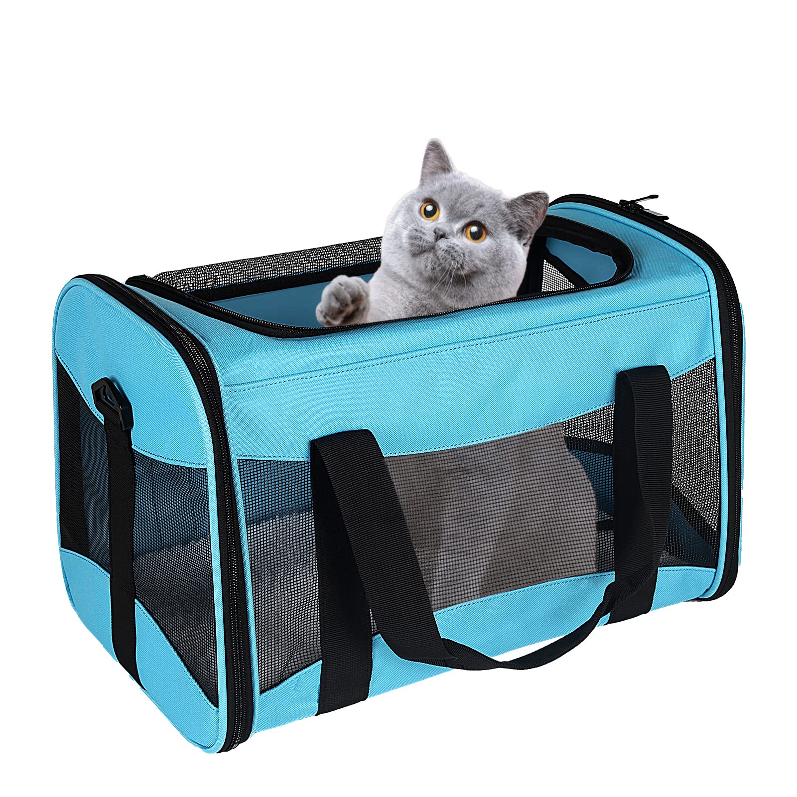 Airline-Approved Breathable Pet Carrier with Fleece Pad